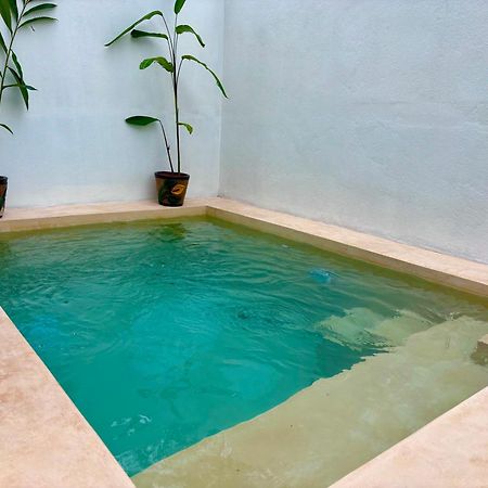 Excelente Alberca Privada En Residencial Privado, Gym, Asador Villa Ciudad Valles Dış mekan fotoğraf