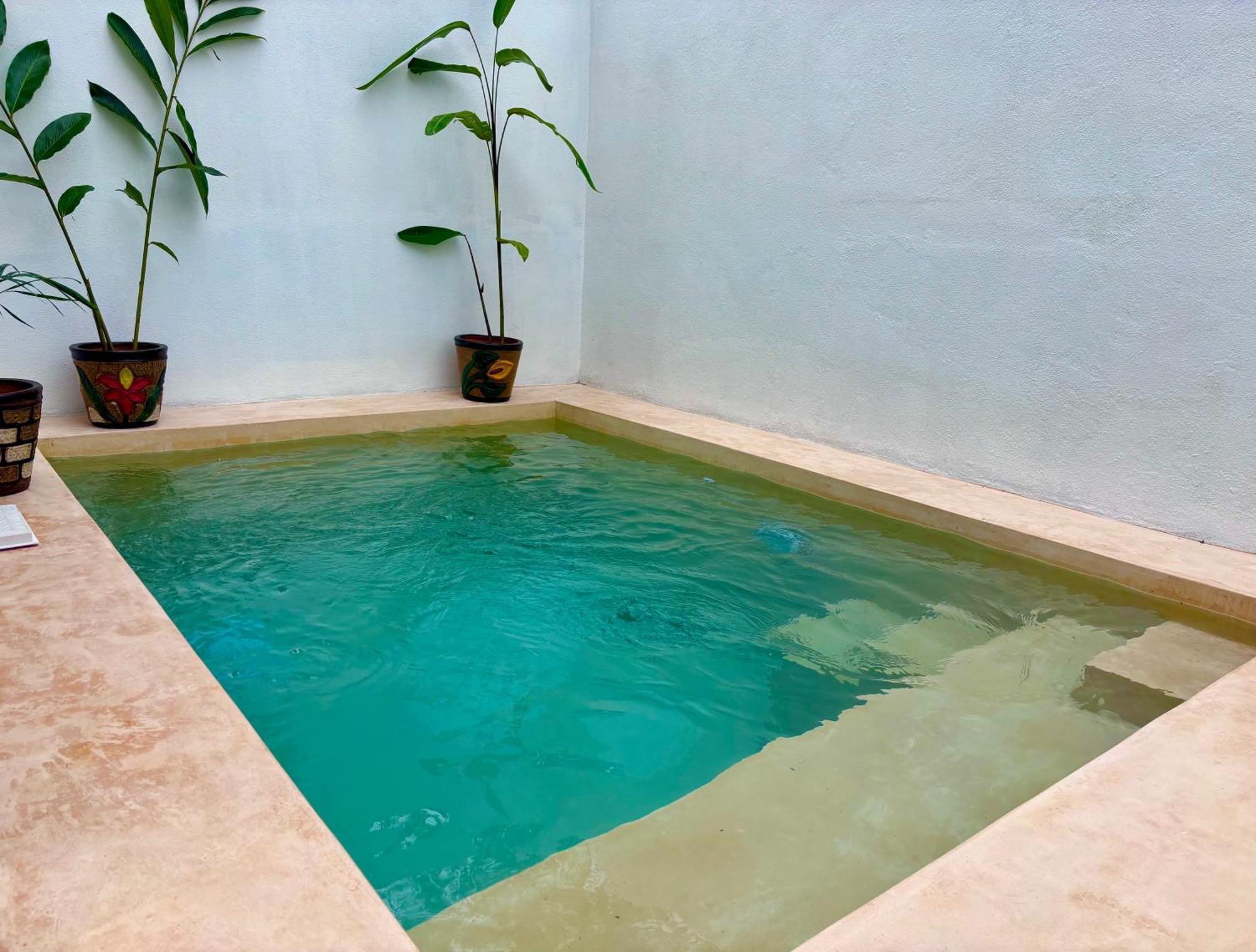 Excelente Alberca Privada En Residencial Privado, Gym, Asador Villa Ciudad Valles Dış mekan fotoğraf