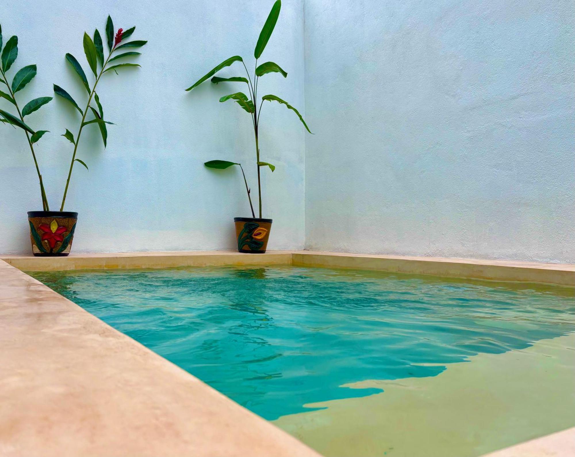 Excelente Alberca Privada En Residencial Privado, Gym, Asador Villa Ciudad Valles Dış mekan fotoğraf